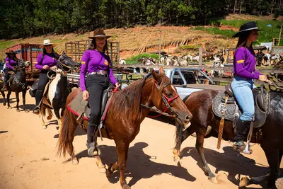 Cavalgada das Patroas 2026 - foto 416
